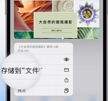 龙岩apple维修中心分享iPhone文件应用中存储和找到下载文件