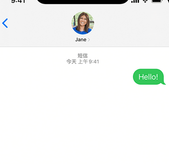 龙岩apple维修iPhone上无法正常发送iMessage信息