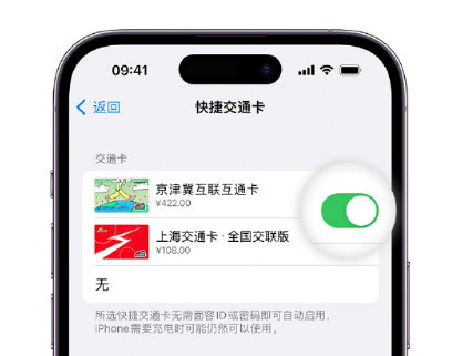 龙岩apple维修点分享iPhone上更换Apple Pay快捷交通卡手绘卡面 