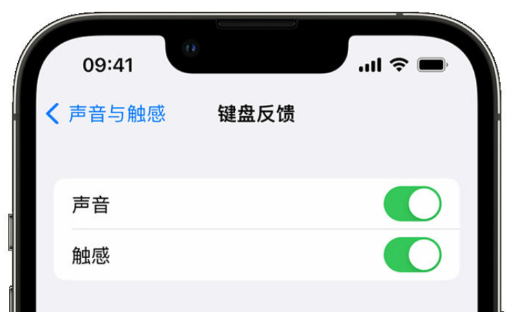 龙岩苹果手机维修分享iPhone 14触感键盘使用方法 