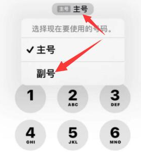 龙岩苹果14维修店分享iPhone 14 Pro Max使用副卡打电话的方法 