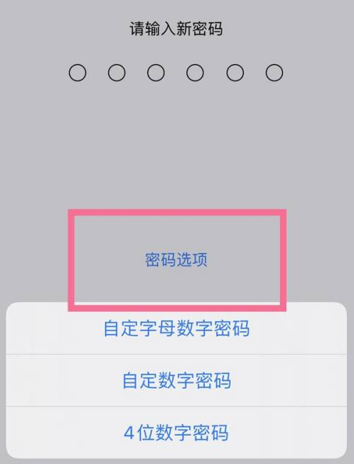 龙岩苹果14维修分享iPhone 14plus设置密码的方法 