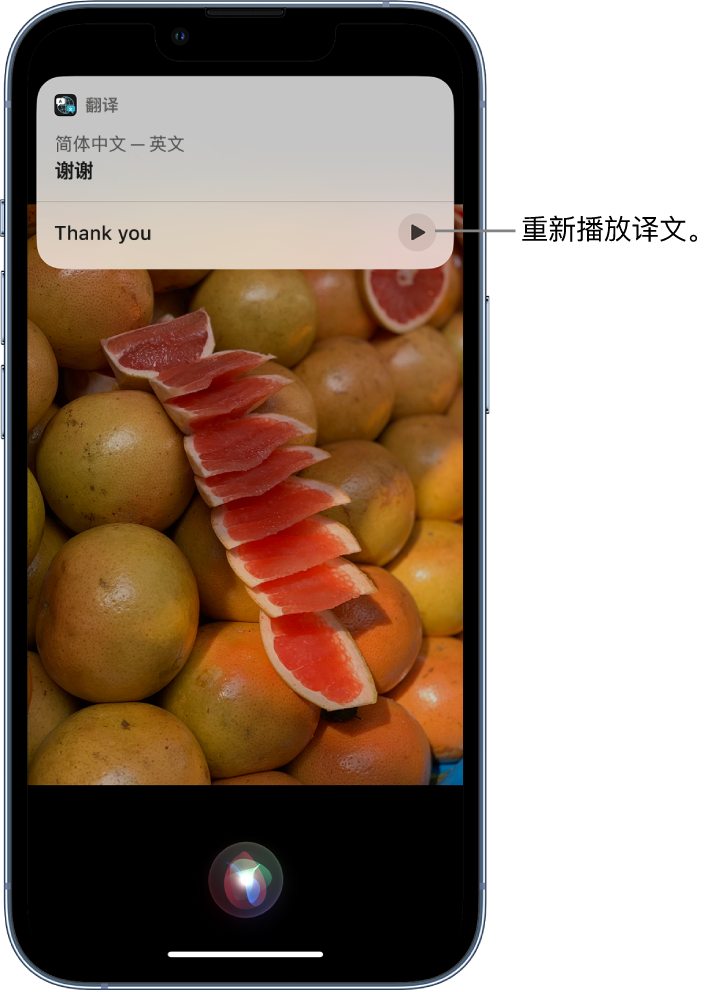 龙岩苹果14维修分享 iPhone 14 机型中使用 Siri：了解 Siri 能帮你做什么 