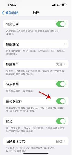 龙岩苹果手机维修分享iPhone手机如何设置摇一摇删除文字 